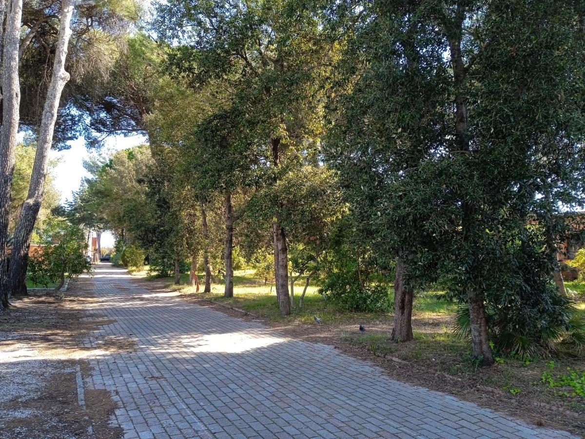 Accesso Diretto Sul Mare Maredilucecala Calambrone Exterior foto